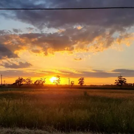 Valle Dei Salici *